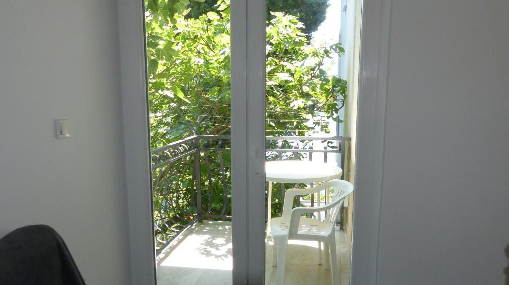 Minimalistic Oasis by the Sea 1